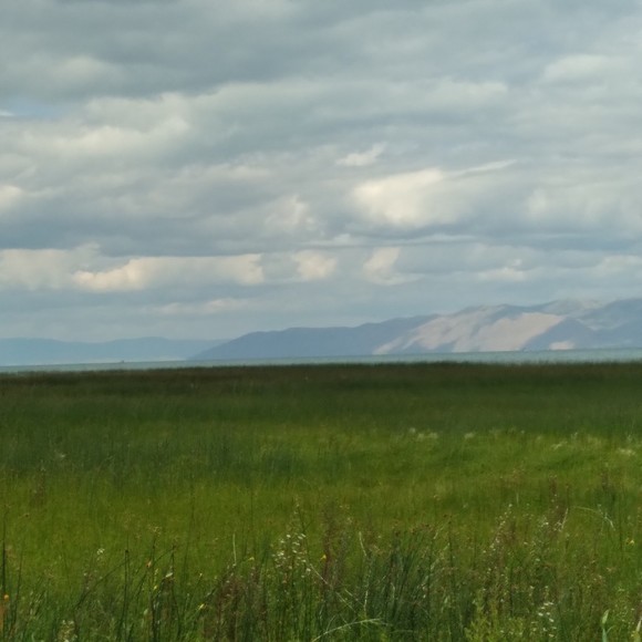 Meet your Posher, Lindsey - Picture 1 of 1